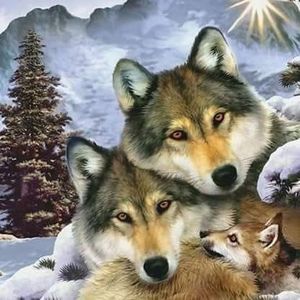 Meet your Posher, Peggy